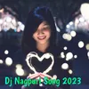 Dj Nagpuri Song 2023